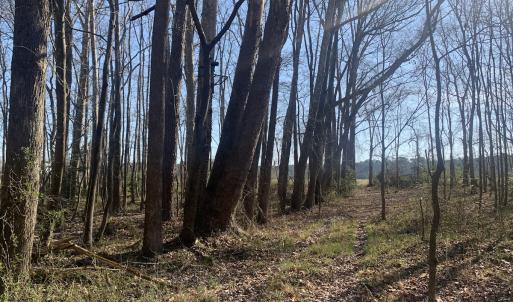 Photo #42 of SOLD property in 30093 Millfield Rd, Wakefield, VA 89.5 acres