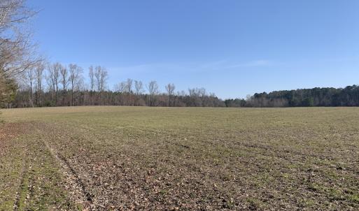 Photo #45 of SOLD property in 30093 Millfield Rd, Wakefield, VA 89.5 acres
