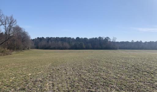Photo #46 of SOLD property in 30093 Millfield Rd, Wakefield, VA 89.5 acres