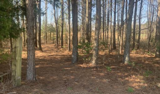 Photo #47 of SOLD property in 30093 Millfield Rd, Wakefield, VA 89.5 acres