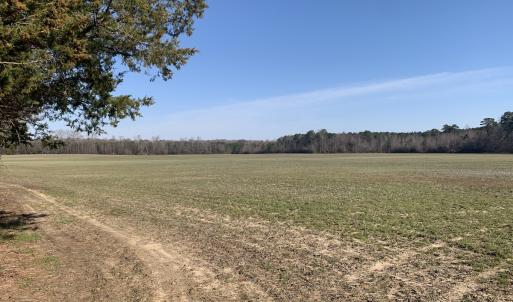 Photo #48 of SOLD property in 30093 Millfield Rd, Wakefield, VA 89.5 acres