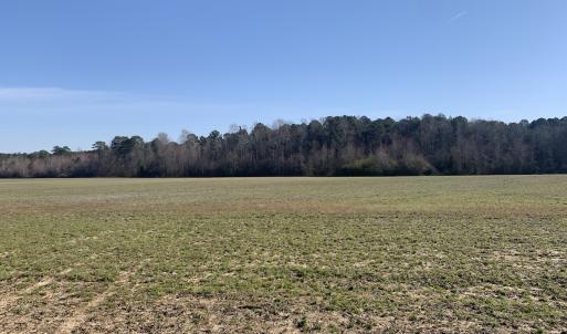 Photo #49 of SOLD property in 30093 Millfield Rd, Wakefield, VA 89.5 acres