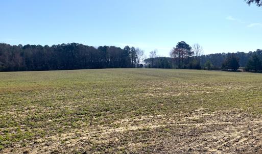 Photo #50 of SOLD property in 30093 Millfield Rd, Wakefield, VA 89.5 acres