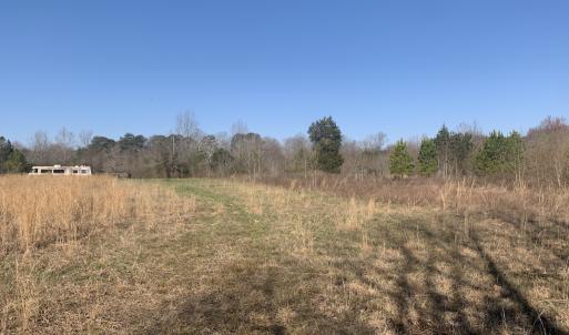 Photo #51 of SOLD property in 30093 Millfield Rd, Wakefield, VA 89.5 acres