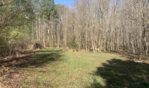 Photo #57 of SOLD property in 30093 Millfield Rd, Wakefield, VA 89.5 acres