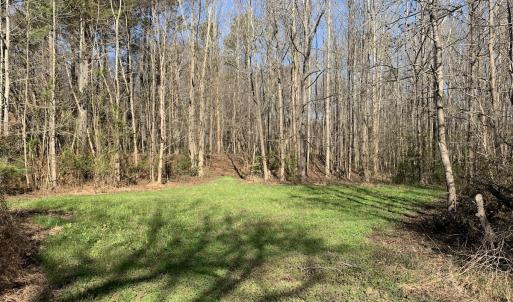 Photo #58 of SOLD property in 30093 Millfield Rd, Wakefield, VA 89.5 acres