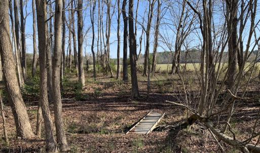 Photo #61 of SOLD property in 30093 Millfield Rd, Wakefield, VA 89.5 acres