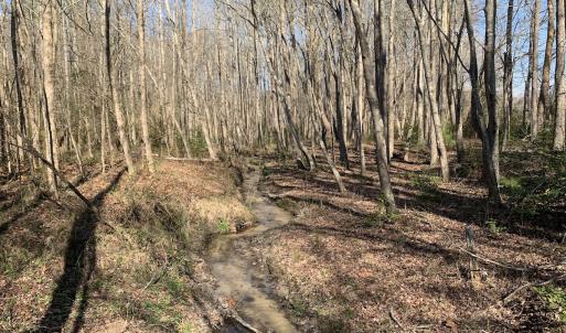 Photo #62 of SOLD property in 30093 Millfield Rd, Wakefield, VA 89.5 acres