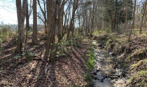 Photo #63 of SOLD property in 30093 Millfield Rd, Wakefield, VA 89.5 acres
