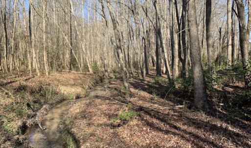 Photo #64 of SOLD property in 30093 Millfield Rd, Wakefield, VA 89.5 acres