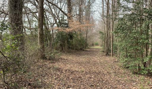 Photo #70 of SOLD property in 30093 Millfield Rd, Wakefield, VA 89.5 acres