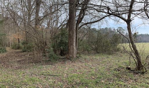 Photo #71 of SOLD property in 30093 Millfield Rd, Wakefield, VA 89.5 acres