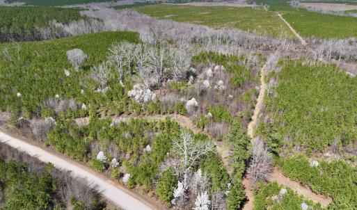 Photo #2 of SOLD property in Off Ernest Turner Road, Warrenton, NC 5.3 acres