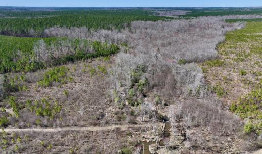 Photo #11 of SOLD property in Off Ernest Turner Road, Warrenton, NC 5.3 acres