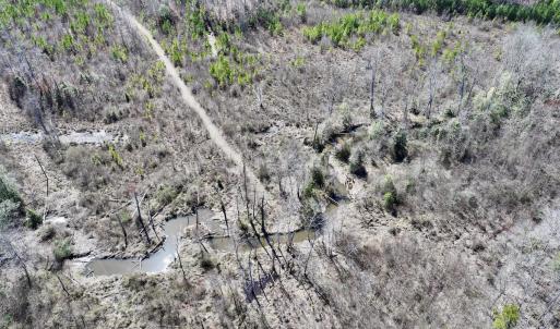 Photo #13 of SOLD property in Off Ernest Turner Road, Warrenton, NC 5.3 acres