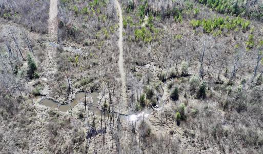 Photo #14 of SOLD property in Off Ernest Turner Road, Warrenton, NC 5.3 acres