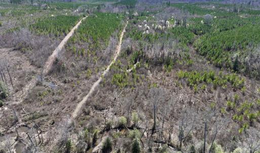 Photo #15 of SOLD property in Off Ernest Turner Road, Warrenton, NC 5.3 acres