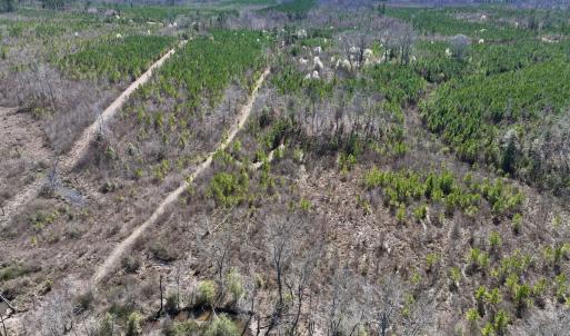 Photo #16 of SOLD property in Off Ernest Turner Road, Warrenton, NC 5.3 acres
