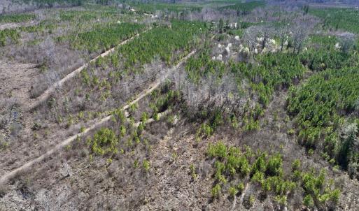 Photo #17 of SOLD property in Off Ernest Turner Road, Warrenton, NC 5.3 acres