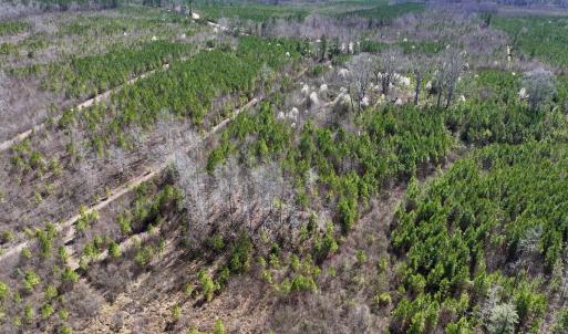 Photo #18 of SOLD property in Off Ernest Turner Road, Warrenton, NC 5.3 acres