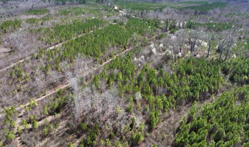 Photo #19 of SOLD property in Off Ernest Turner Road, Warrenton, NC 5.3 acres