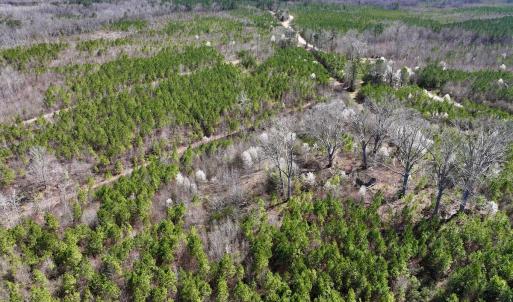 Photo #20 of SOLD property in Off Ernest Turner Road, Warrenton, NC 5.3 acres