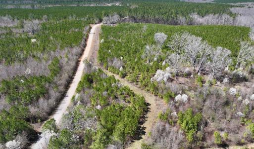 Photo #3 of SOLD property in Off Ernest Turner Road, Warrenton, NC 5.3 acres