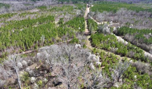 Photo #21 of SOLD property in Off Ernest Turner Road, Warrenton, NC 5.3 acres