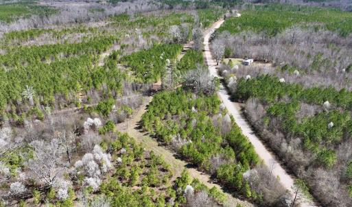 Photo #22 of SOLD property in Off Ernest Turner Road, Warrenton, NC 5.3 acres