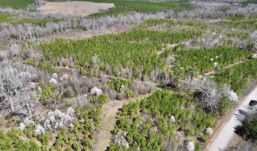 Photo #23 of SOLD property in Off Ernest Turner Road, Warrenton, NC 5.3 acres