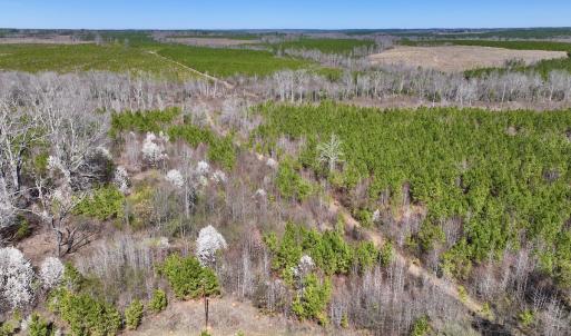 Photo #24 of SOLD property in Off Ernest Turner Road, Warrenton, NC 5.3 acres