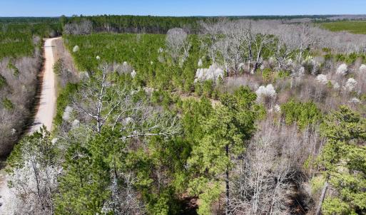 Photo #25 of SOLD property in Off Ernest Turner Road, Warrenton, NC 5.3 acres