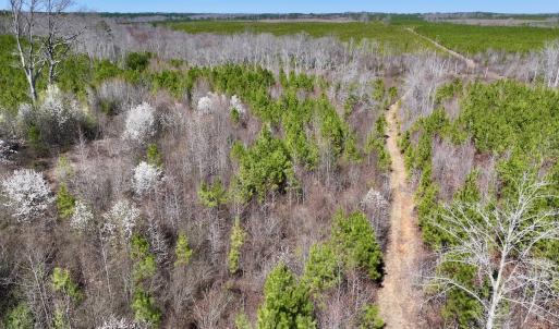 Photo #27 of SOLD property in Off Ernest Turner Road, Warrenton, NC 5.3 acres