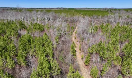 Photo #28 of SOLD property in Off Ernest Turner Road, Warrenton, NC 5.3 acres
