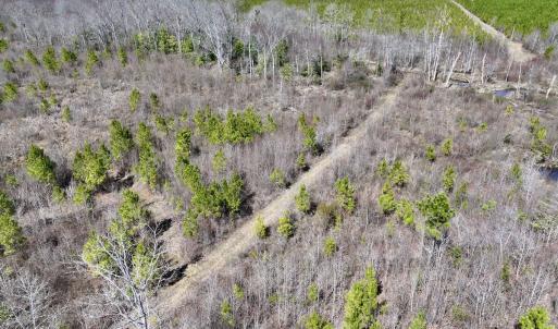 Photo #29 of SOLD property in Off Ernest Turner Road, Warrenton, NC 5.3 acres