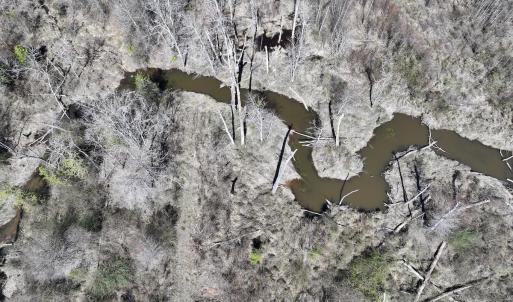 Photo #30 of SOLD property in Off Ernest Turner Road, Warrenton, NC 5.3 acres