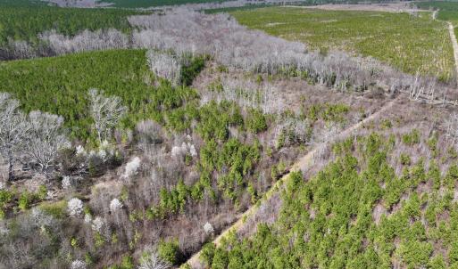 Photo #4 of SOLD property in Off Ernest Turner Road, Warrenton, NC 5.3 acres