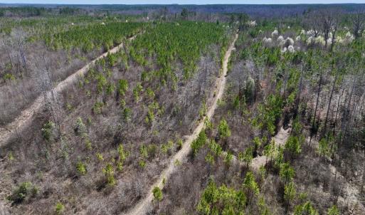 Photo #31 of SOLD property in Off Ernest Turner Road, Warrenton, NC 5.3 acres