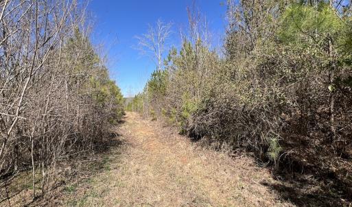 Photo #36 of SOLD property in Off Ernest Turner Road, Warrenton, NC 5.3 acres