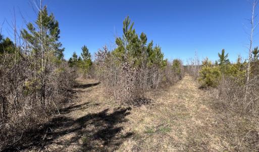 Photo #37 of SOLD property in Off Ernest Turner Road, Warrenton, NC 5.3 acres
