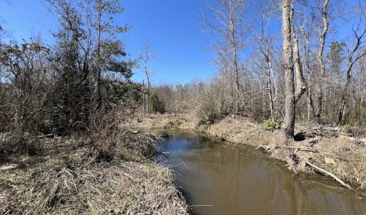 Photo #39 of SOLD property in Off Ernest Turner Road, Warrenton, NC 5.3 acres