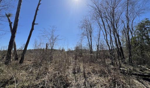 Photo #40 of SOLD property in Off Ernest Turner Road, Warrenton, NC 5.3 acres