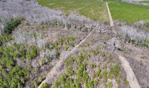 Photo #5 of SOLD property in Off Ernest Turner Road, Warrenton, NC 5.3 acres