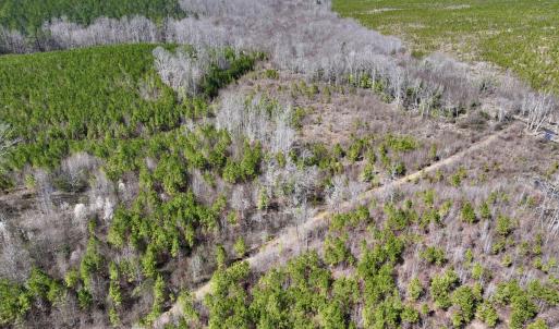 Photo #6 of SOLD property in Off Ernest Turner Road, Warrenton, NC 5.3 acres