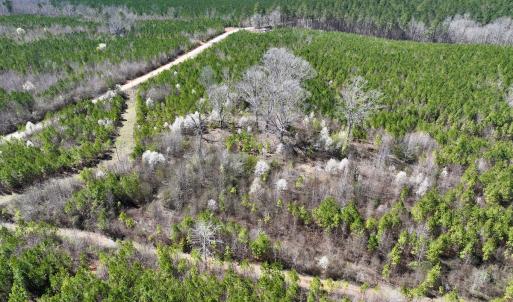 Photo #7 of SOLD property in Off Ernest Turner Road, Warrenton, NC 5.3 acres