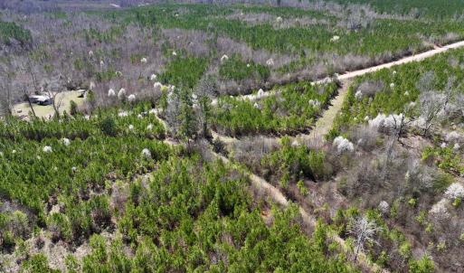 Photo #8 of SOLD property in Off Ernest Turner Road, Warrenton, NC 5.3 acres