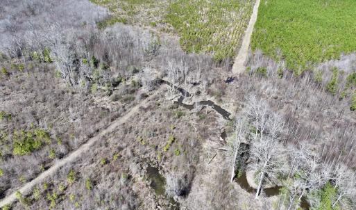 Photo #9 of SOLD property in Off Ernest Turner Road, Warrenton, NC 5.3 acres