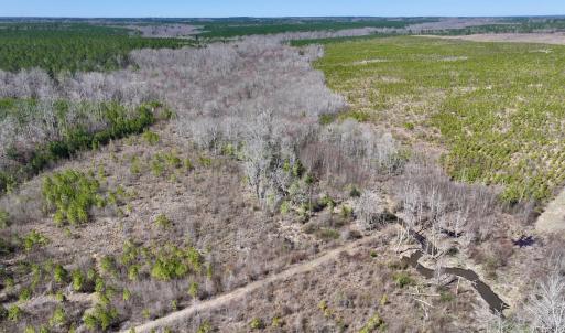 Photo #10 of SOLD property in Off Ernest Turner Road, Warrenton, NC 5.3 acres
