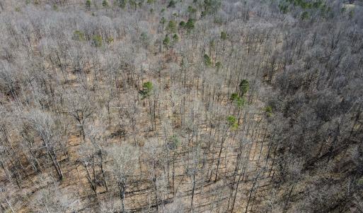 Photo #11 of SOLD property in Off Blackberry Rd, Bassett, VA 115.4 acres