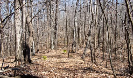Photo #16 of SOLD property in Off Blackberry Rd, Bassett, VA 115.4 acres